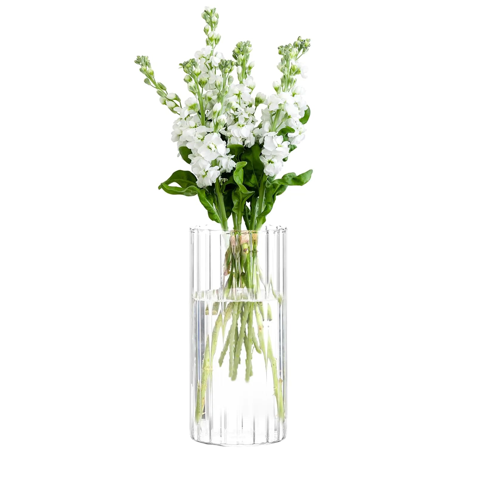 Cute 10 Inch Glass Vases for Decor Flower Vase for Home Decor Modern Decorative Clear Vase Centerpieces Living Room Kitchen